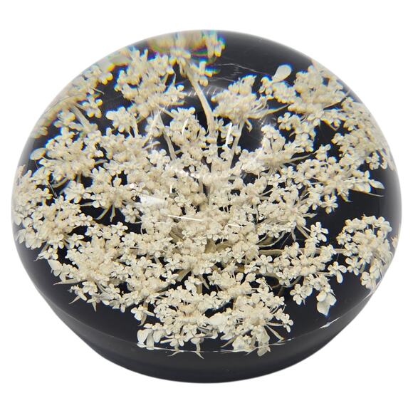 Tarax Infinity Vintage Lucite Acrylic Paperweight Queen Anne’s Lace Canada - Picture 3 of 7